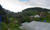 DSC_0056-min (1) (FILEminimizer)