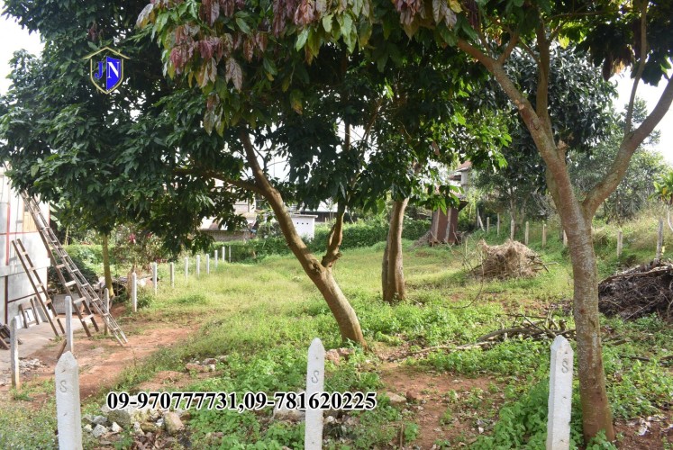 Kalaw Property
