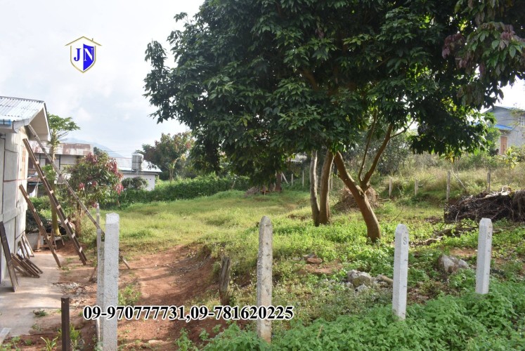 Kalaw View