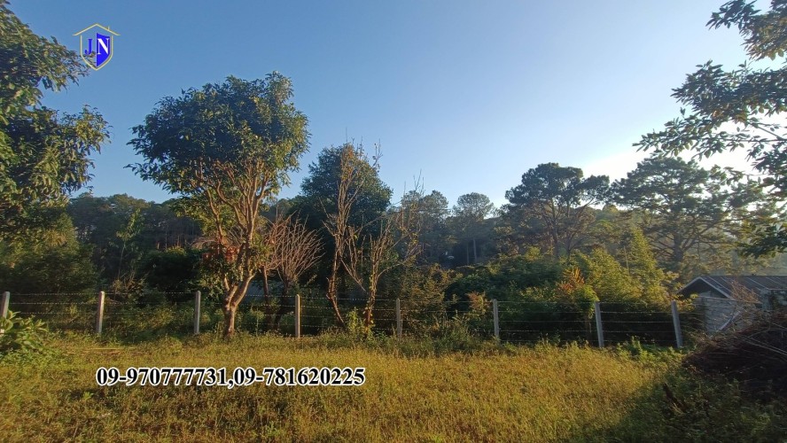 Kalaw