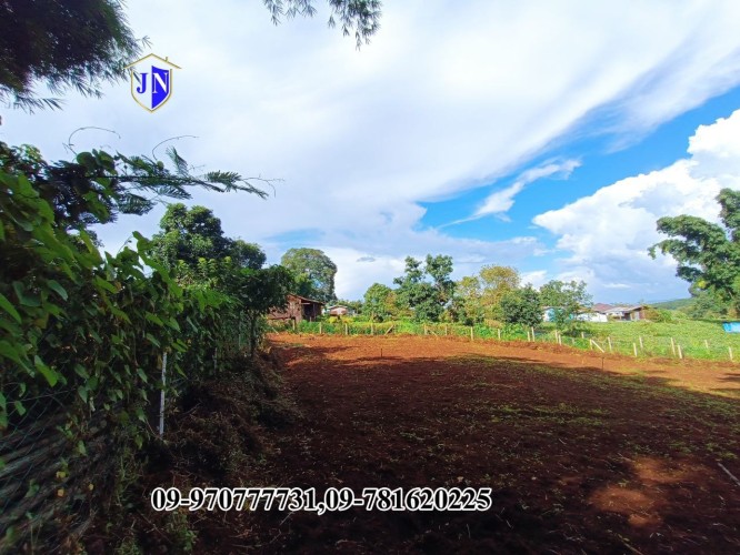 Kalaw