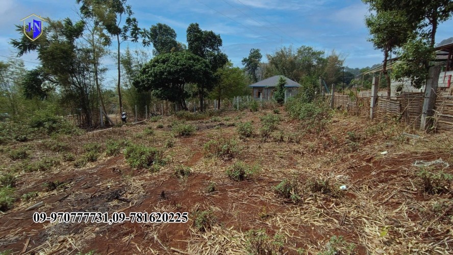 Kalaw