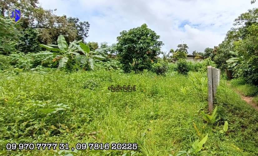 kalaw car rental