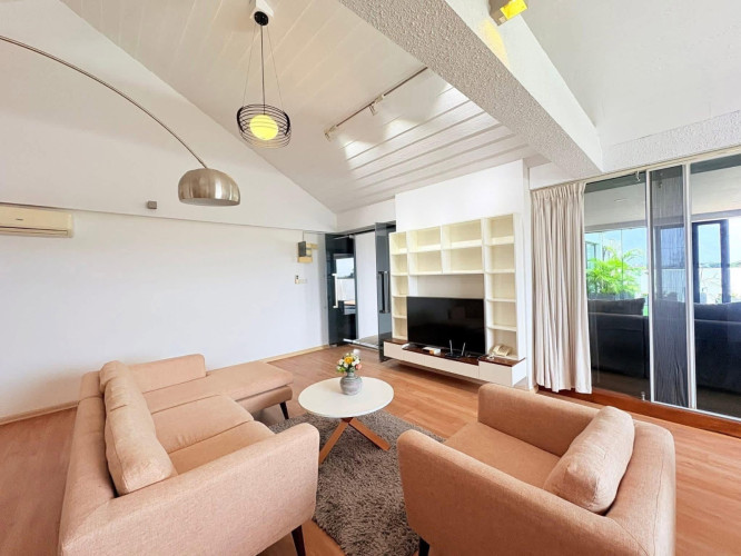 penhouse-condo2